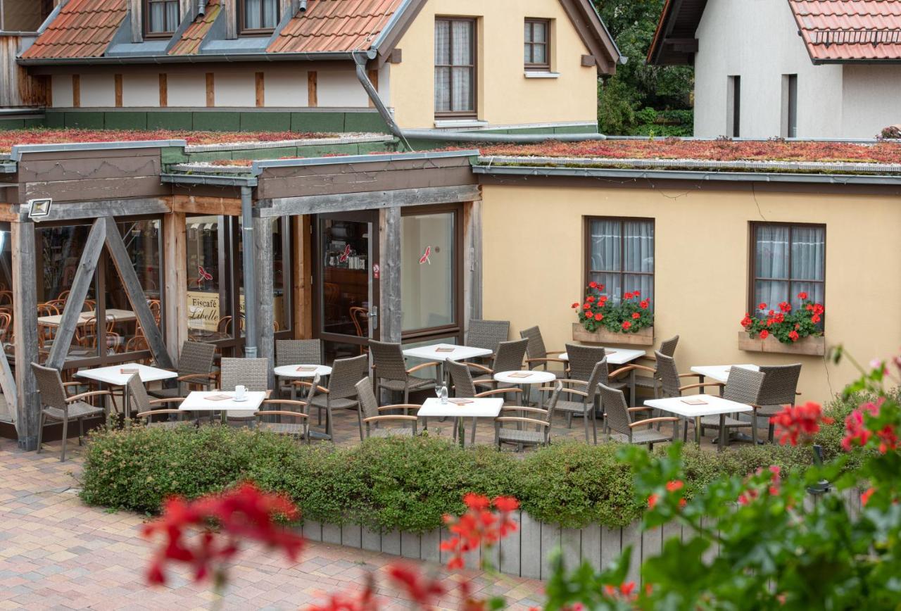 Pension-Cafe-Libelle Elxleben bei Arnstadt Zewnętrze zdjęcie